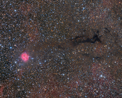 IC5146 - Cocoon Nebula Wide Field