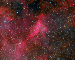 IC1318A