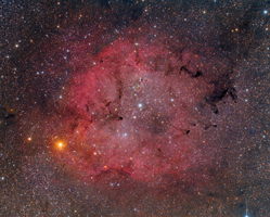 IC 1396 and Surrounding Starfield
