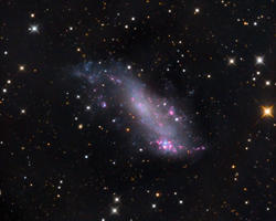 IC2574 Coddington's Nebula and IFN