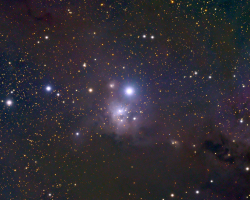IC348 Reflection Nebula