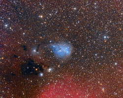IC447, VdB77-79, VdB 82, IC446, NGC2245, NGC2247, B37