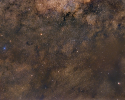 Inside Milky Way Dark Rift