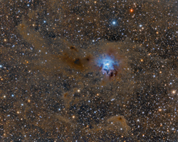 NGC7023 Iris Nebula