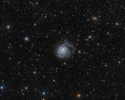 M101 Deep Wide Field