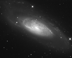 M106 - Galaxy