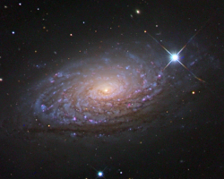 M63 - The Sunflower Galaxy