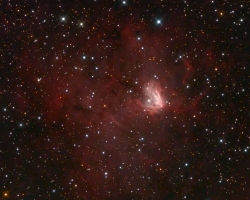 NGC 1491 / SH2-206 Emission Nebula