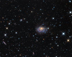 NGC1961