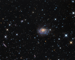NGC1961 Galaxy