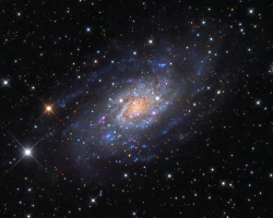 NGC2403 Local Group Galaxy