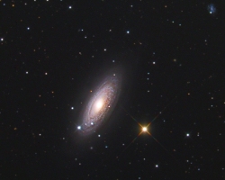 NGC 2841