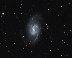 NGC 3359