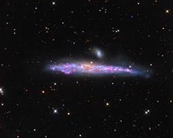 NGC4631 - The Whale Galaxy