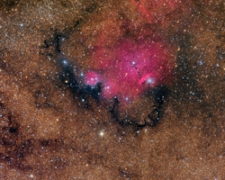 NGC6559