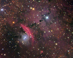 NGC6559 Nebula Complex