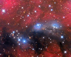 NGC6914 Nebulae