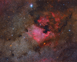 NGC7000 Area