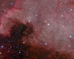 NGC7000 - Nord America Nebula