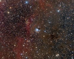 NGC 7129 and NGC 7142