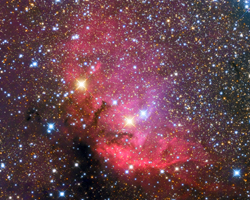 SH2-101 - The Tulip Nebula