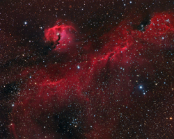 The Seagull Nebula