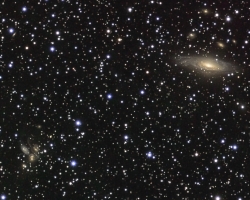 NGC7331 and Stephen's Quintet